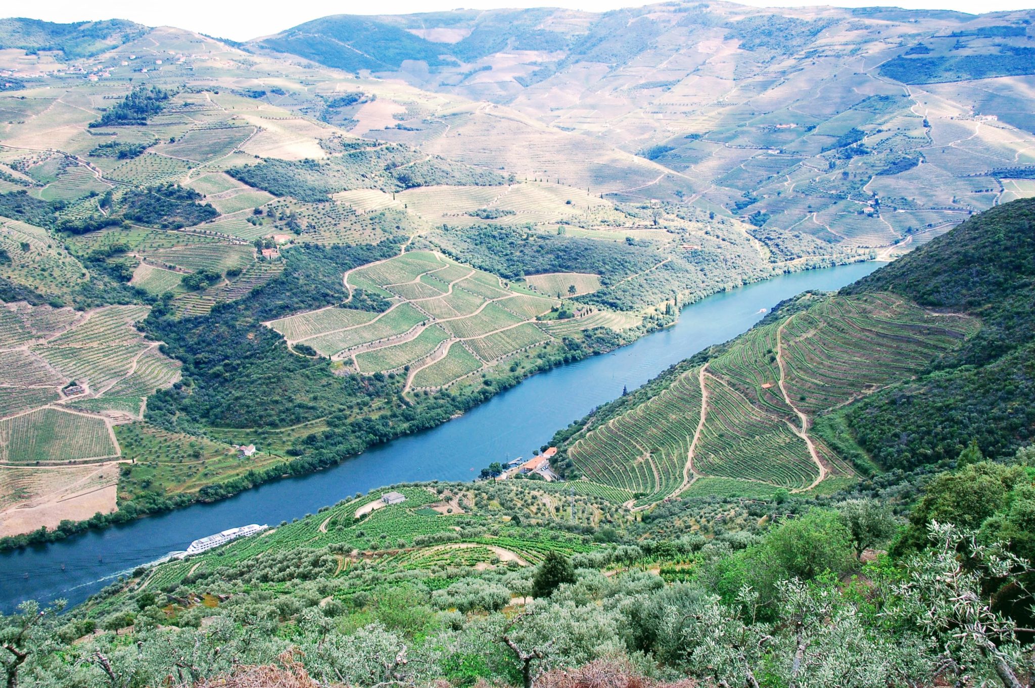 Rio Douro