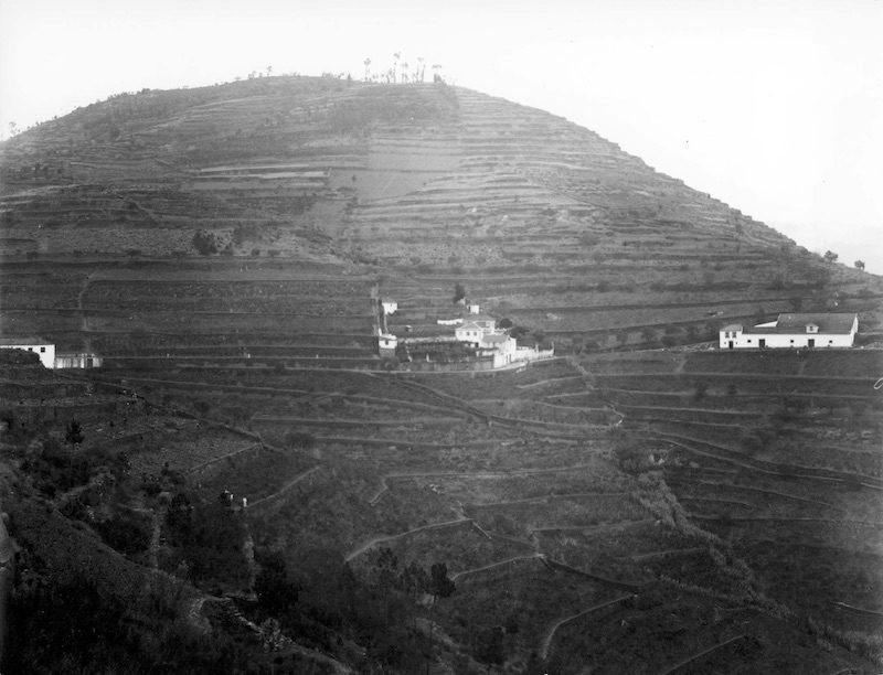 Quinta de Romarigo, do Visconde de Alijó, Douro, por Emílio Biel