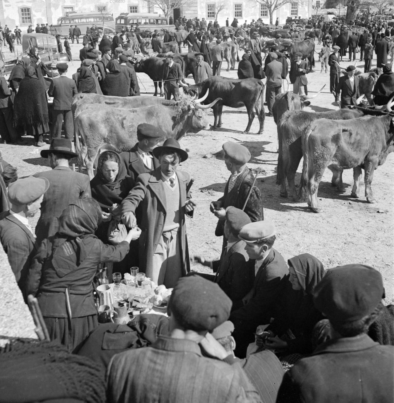 Feira de Montalegre (décadas de 1950-60) por Artur Pastor